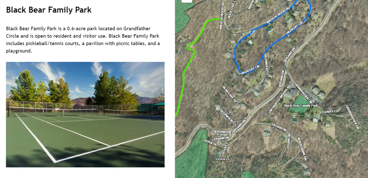 This exterior image captures a joyful scene featuring the property's tennis court, a picnic area shaded by trees, and space for family gatherings and outdoor games. The area is lively and inviting, ideal for family play and bonding.